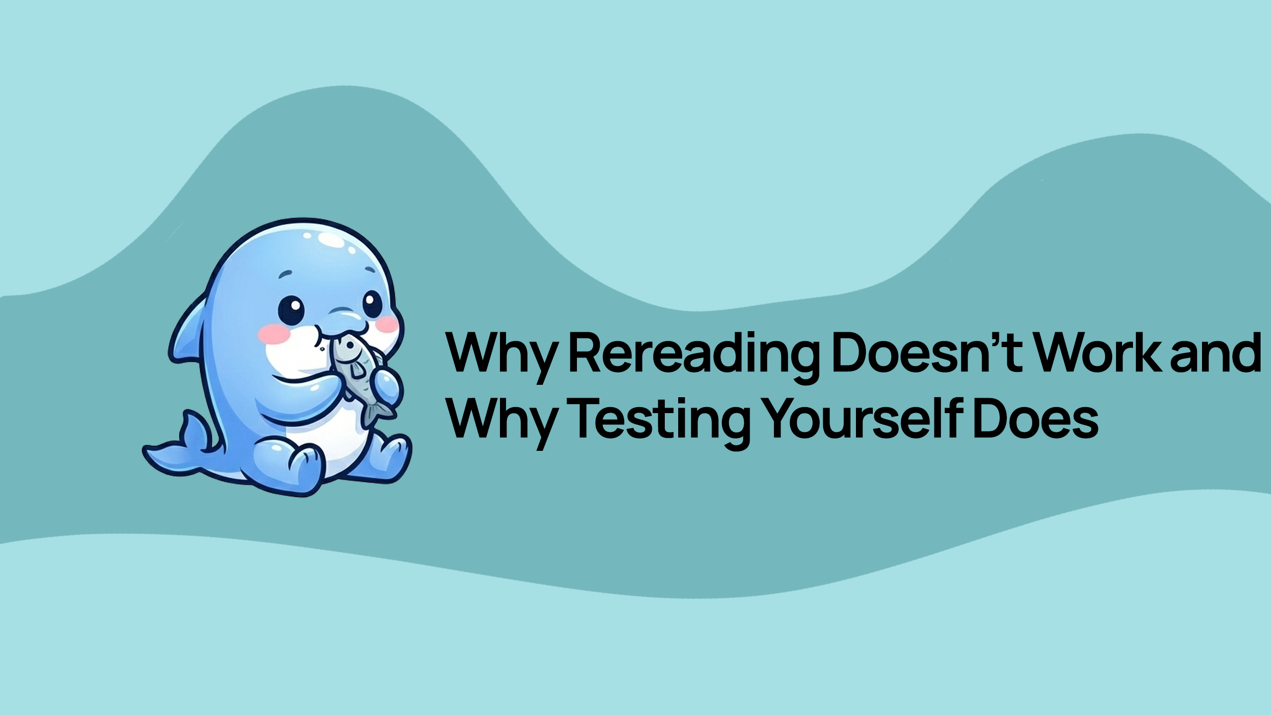 Why Rereading Doesn't Work and Why Testing Yourself Does